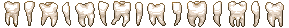 tooth divider